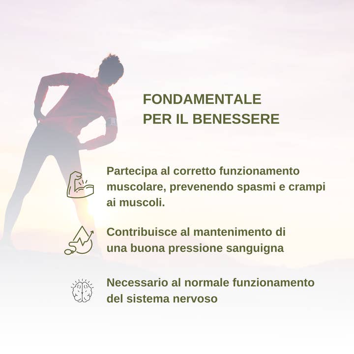 Natura srl - Vendita all'ingrosso Bevanda salutare in polvere - Potassio Citrato in polvere solubile - 500 g1