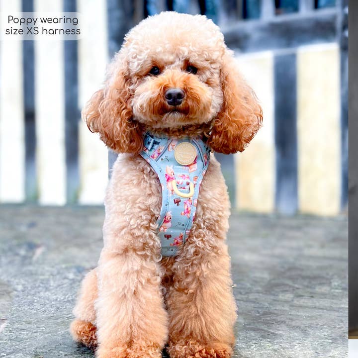 Pawsome Paws – Großhandel Haustiergeschirr – Hund – Disney© Tough Trails™ Geschirr – Winnie Puuh9