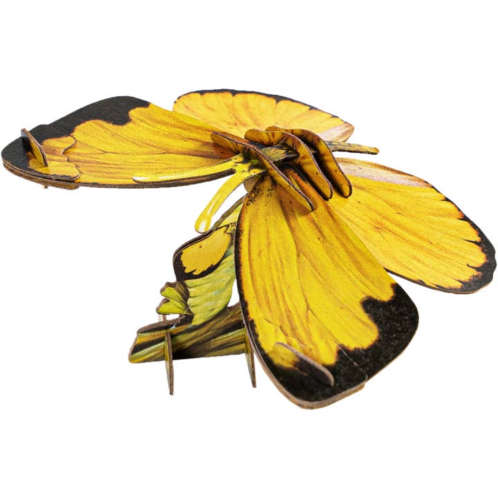 Puzzle 3D Papillon Jaune Commun - Apportez la Nature à la Maison pour la vente par Makebug