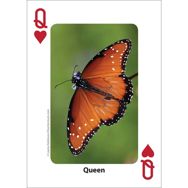 AdventureKEEN - Wholesale Playing Cards - Bees & Butterflies Playing Cards