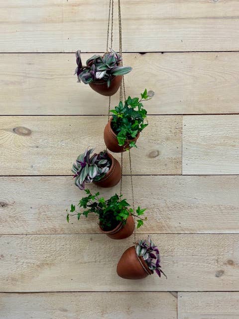 Asia West – Großhandel Pflanzenampel – Terrakotta-Hängepflanzgefäße (Satz von 5)3