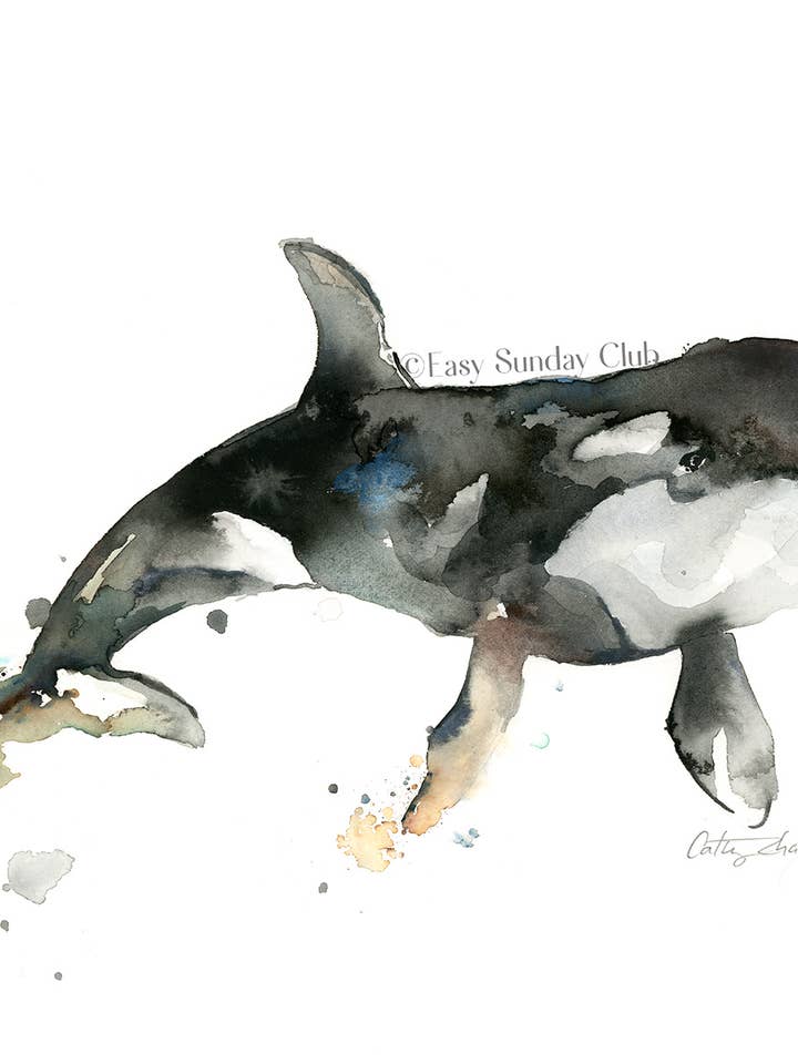 Orca Whale Watercolor Art Print for wholesale by Easy Sunday Club