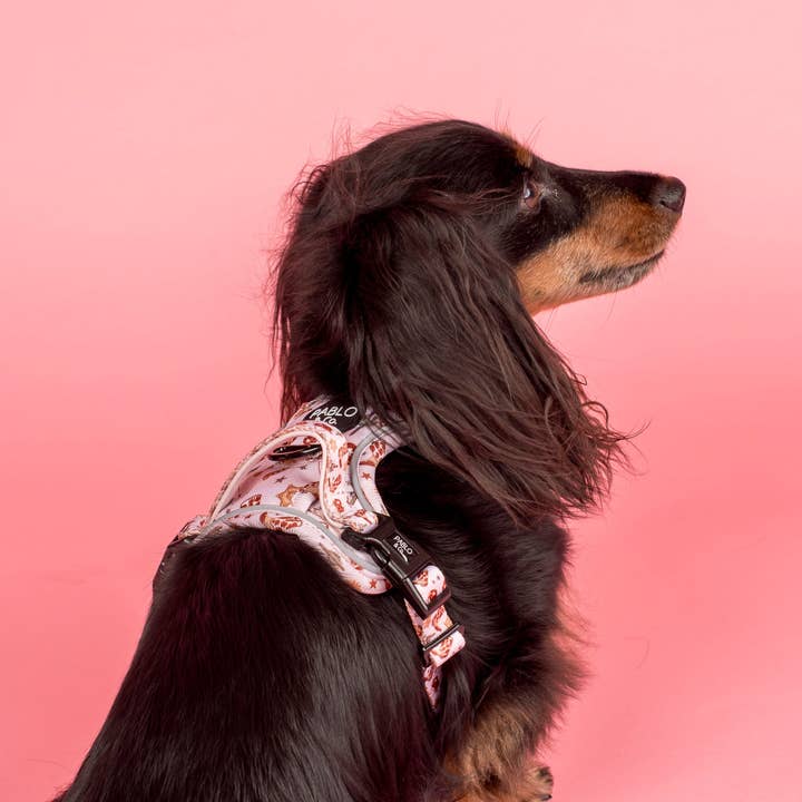 Pablo & Co. Boutique - Wholesale Pet harness – Dog - Howdy: No Pull Adventure Harness3