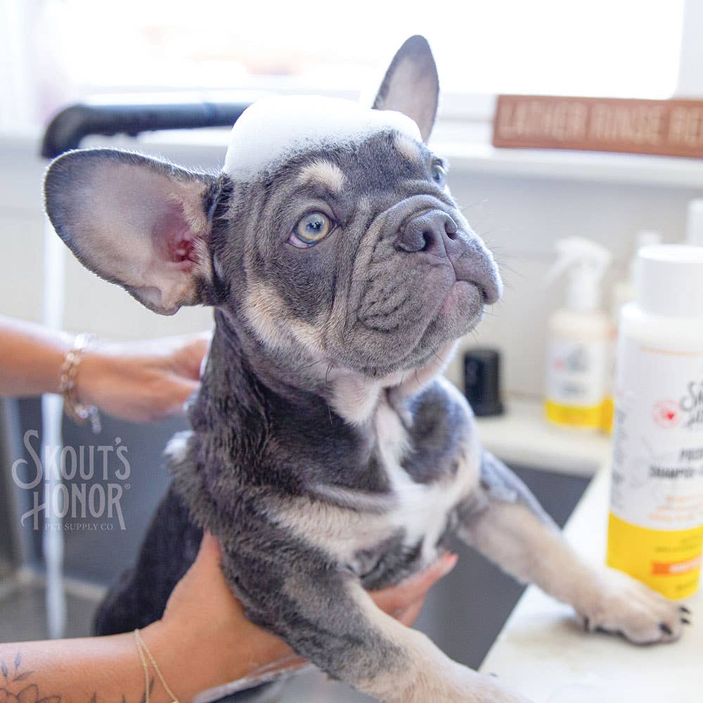 Pet Palette Distribution - Wholesale Pet Shampoo - Dog - Skout's Honor Probiotic Shampoo+Conditioner Honeysuckle 16oz3