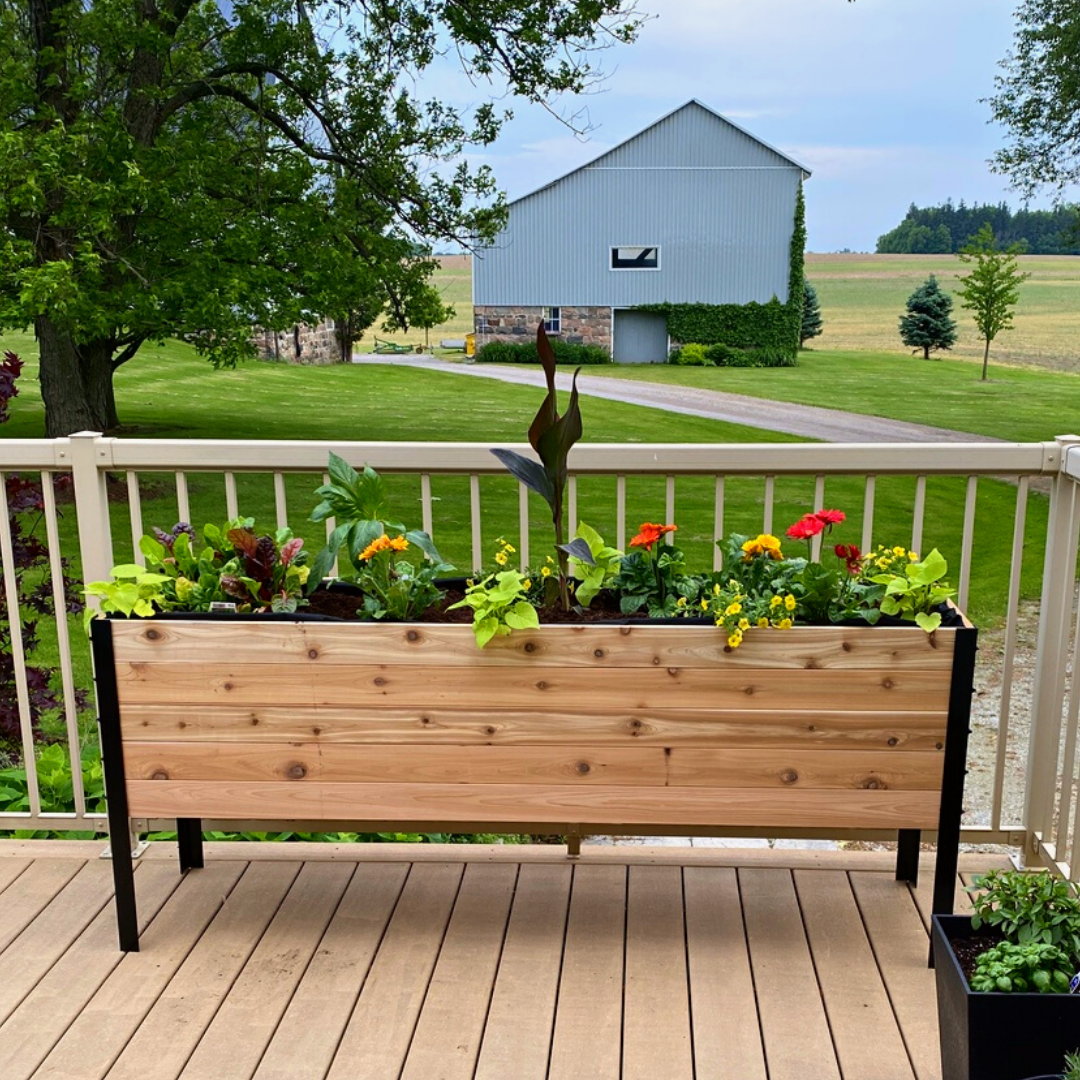 Cedar Planters - Wholesale Planter Box - 18" x 72" Raised Garden Bed7