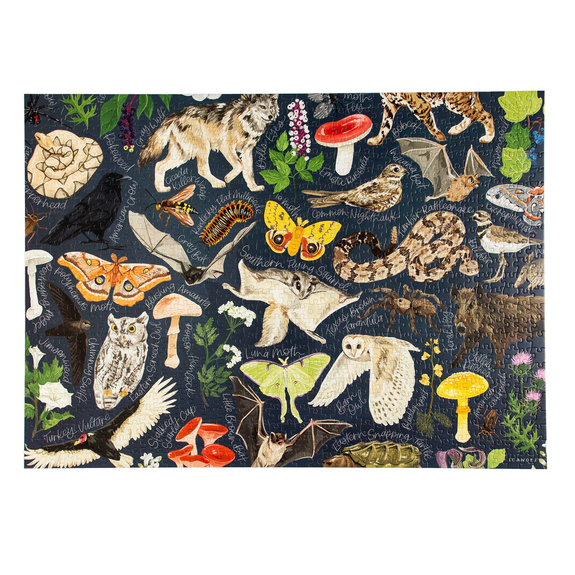 1canoe2 | One Canoe Two Paper Co. - Wholesale Puzzle - Adult - Midnight Flora & Fauna - 1000 Piece Jigsaw Puzzle4