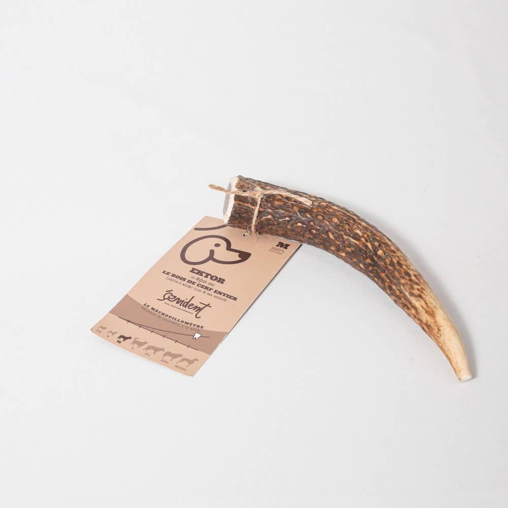 Evident - Wholesale Pet Bone/Rawhide - Dog - EKTOR - Whole deer antler to chew on for dogs1