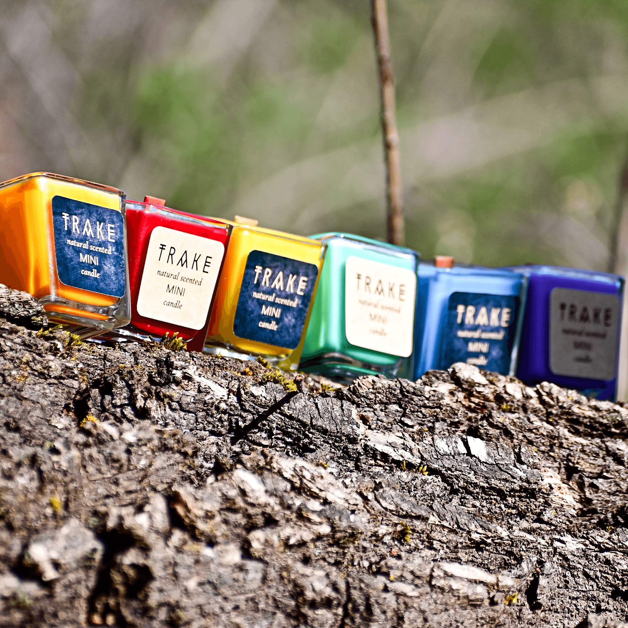 TRAKE – Engroshandel Glaslys – Mini Duftlys med mandarinskal og sandeltræ – sød og frugtig aroma7