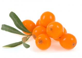 Femmeup - Wholesale Oral Supplement/Vitamin - Sea Buckthorn Oil Pearls. Omega 7. Repair and hydration of skin and mucous membranes to combat dryness, irritation, lesions, recurrent infections, and pain during sexual intercourse.2