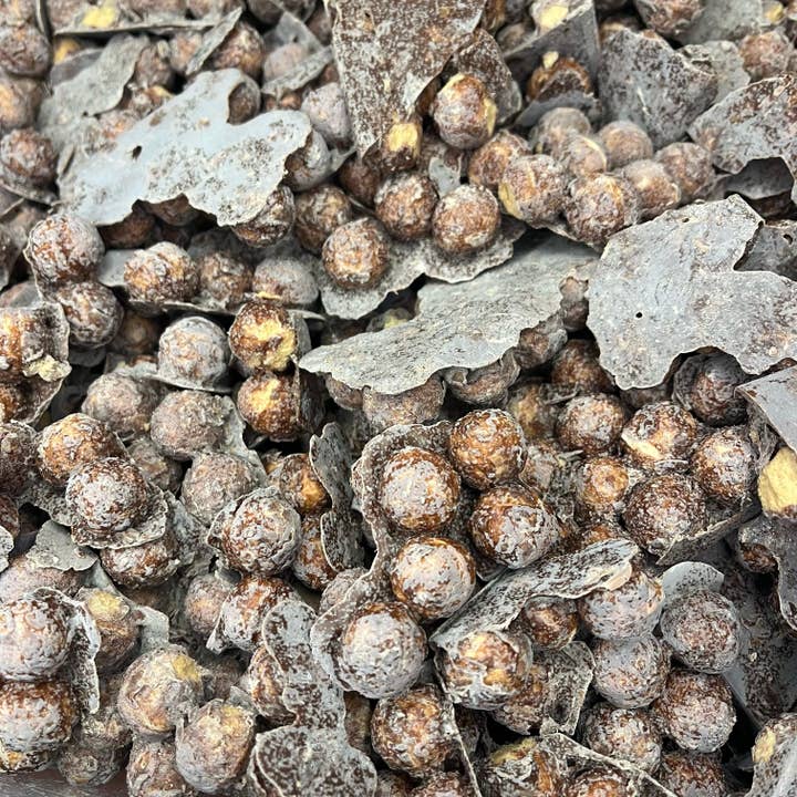 Junior Caramels - Freeze Dried Sweets for wholesale by Freeze Dried Sweets