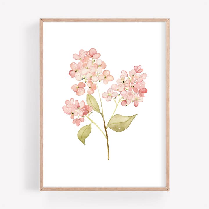 Pink Hydrangea Watercolor Art Print for wholesale by Farmcliff Studio