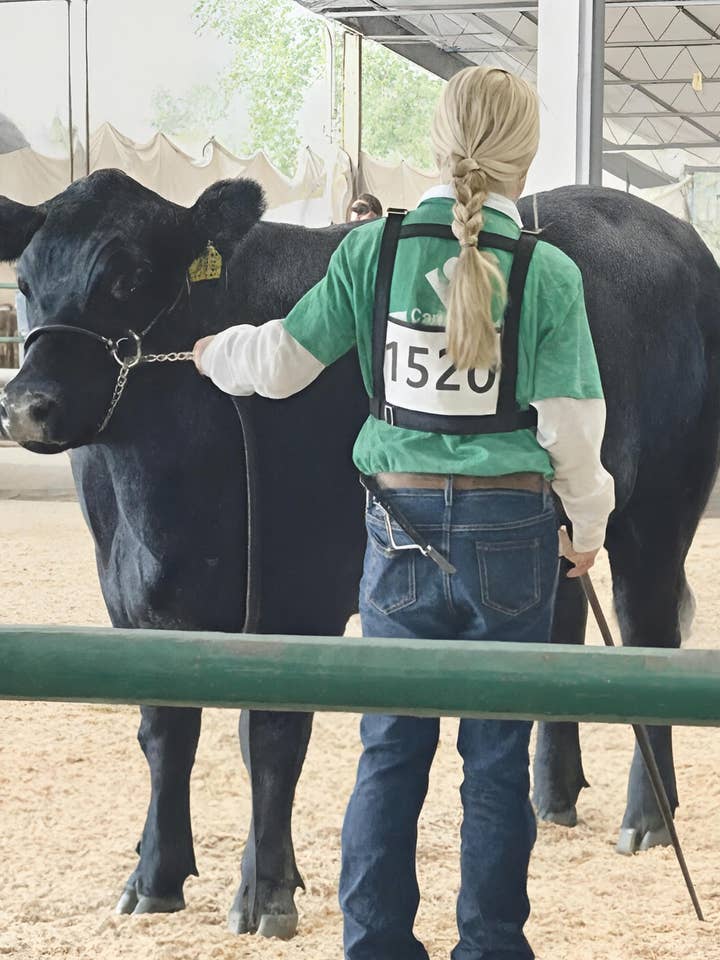 Recuerdos de Verano - Esperando al Juez en Acuarelas para venta al por mayor de Chesapeake Farms LLC