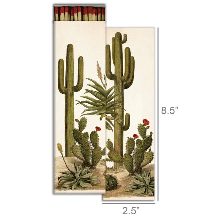 HomArt - Wholesale Matches - Match - Tall Cacti1
