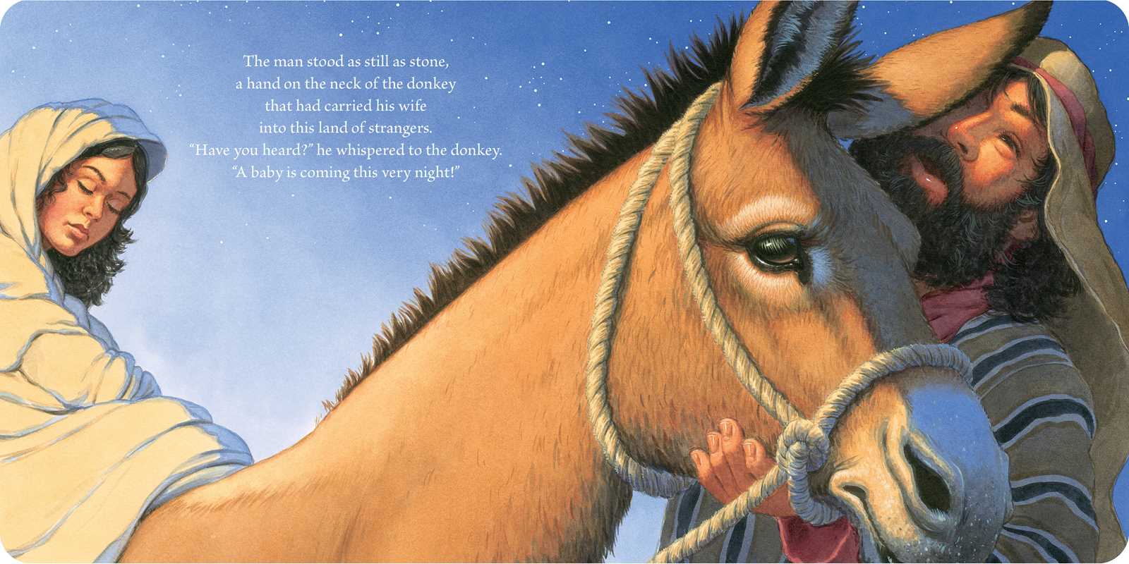 Simon & Schuster - Wholesale Baby & Toddler Book (0-2) - Christmas Baby by Marion  Dane Bauer2