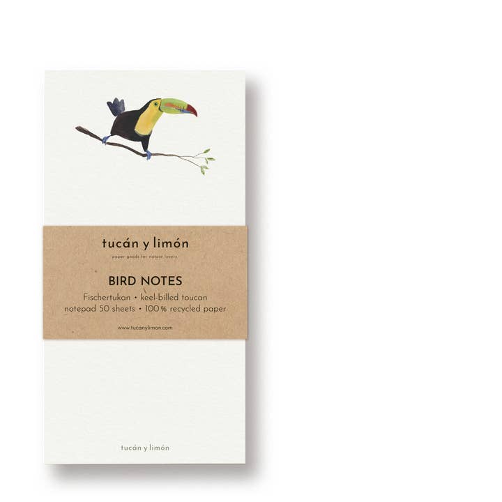 BIRD NOTES - Toco Toucan | Notepad DINA6 narrow for wholesale by tucán y limón