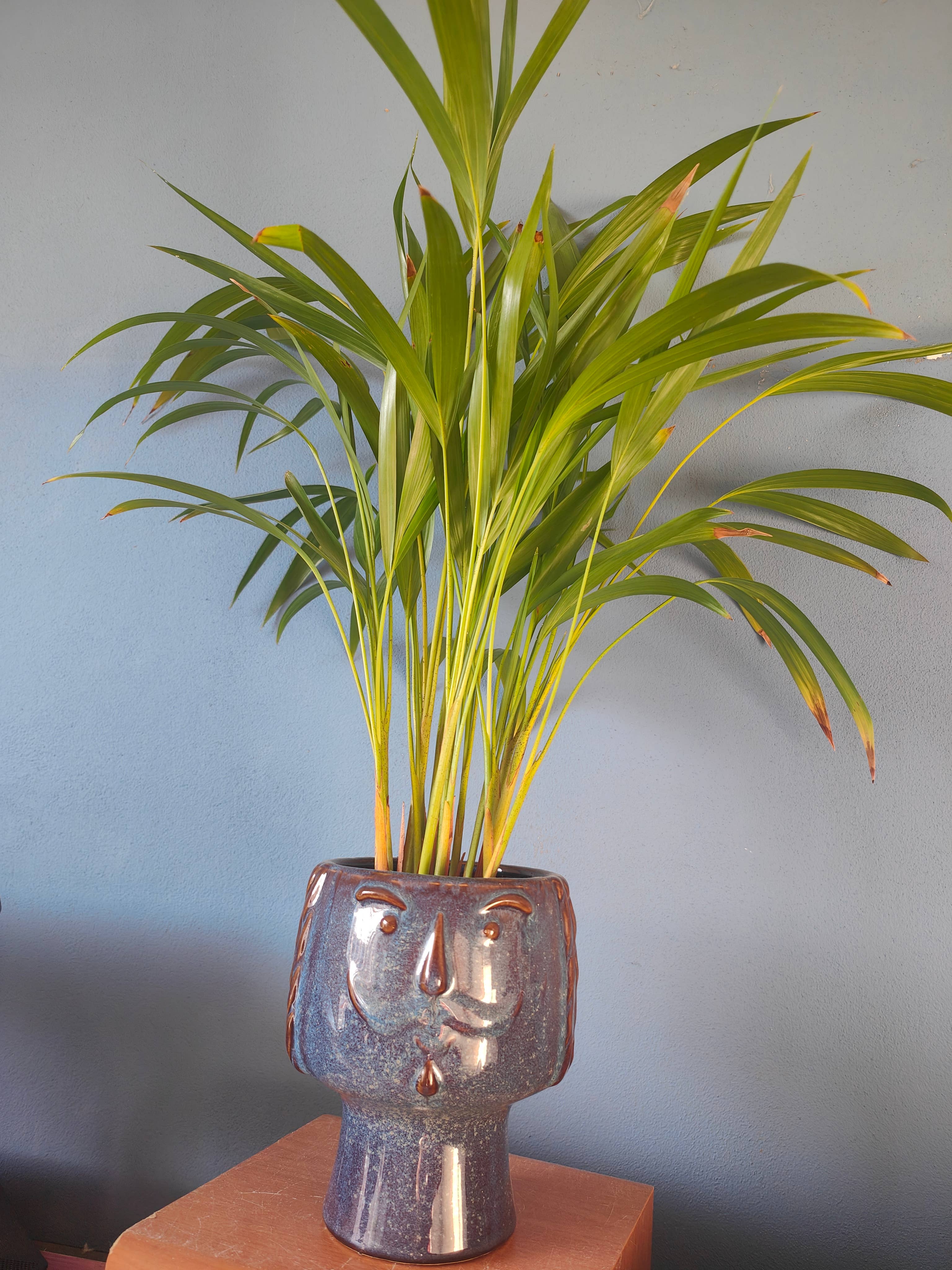 DRYdecorations - Wholesale Plant Pot - BloemPot gezicht blauw1