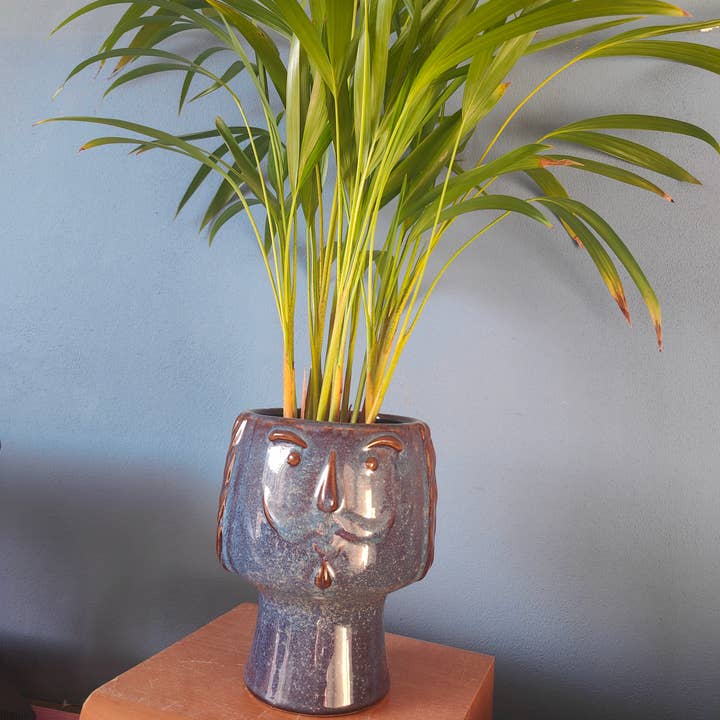 DRYdecorations - Wholesale Plant Pot - BloemPot gezicht blauw1