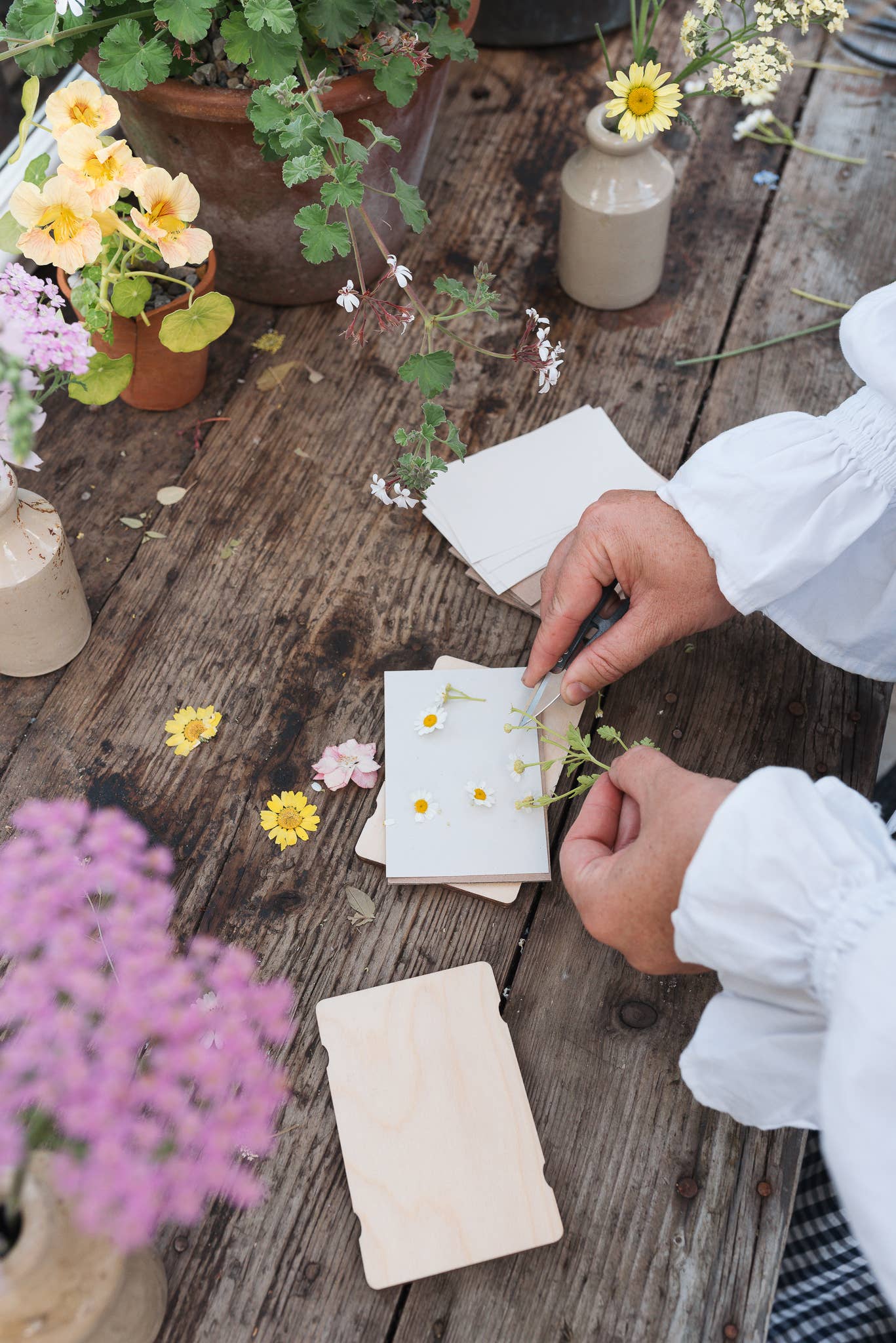 Studio Wald - UK Made - Vendita all'ingrosso Kit per lavoretti fai da te - Pressa da tasca per fiori - Non ti scordar di me4