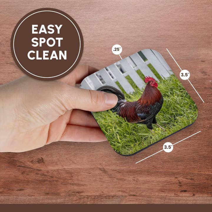 3dRose – wholesale Underlägg – 3dRose, Cubalaya Gypsy-tupp i Key West, Florida, USA., Glasunderlägg13