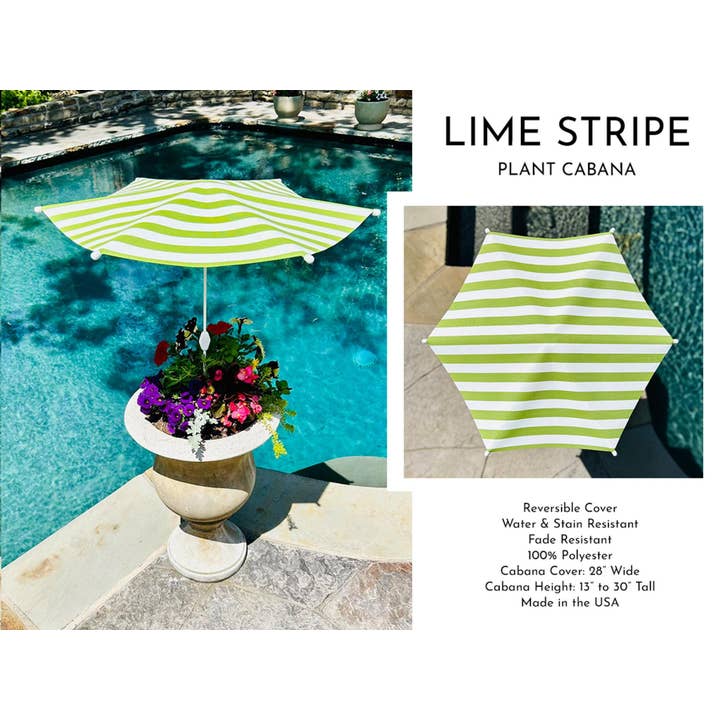 Lime Stripe Plant Cabana - 28"Wx30"T - Assembly Required for wholesale by Plant Cabana