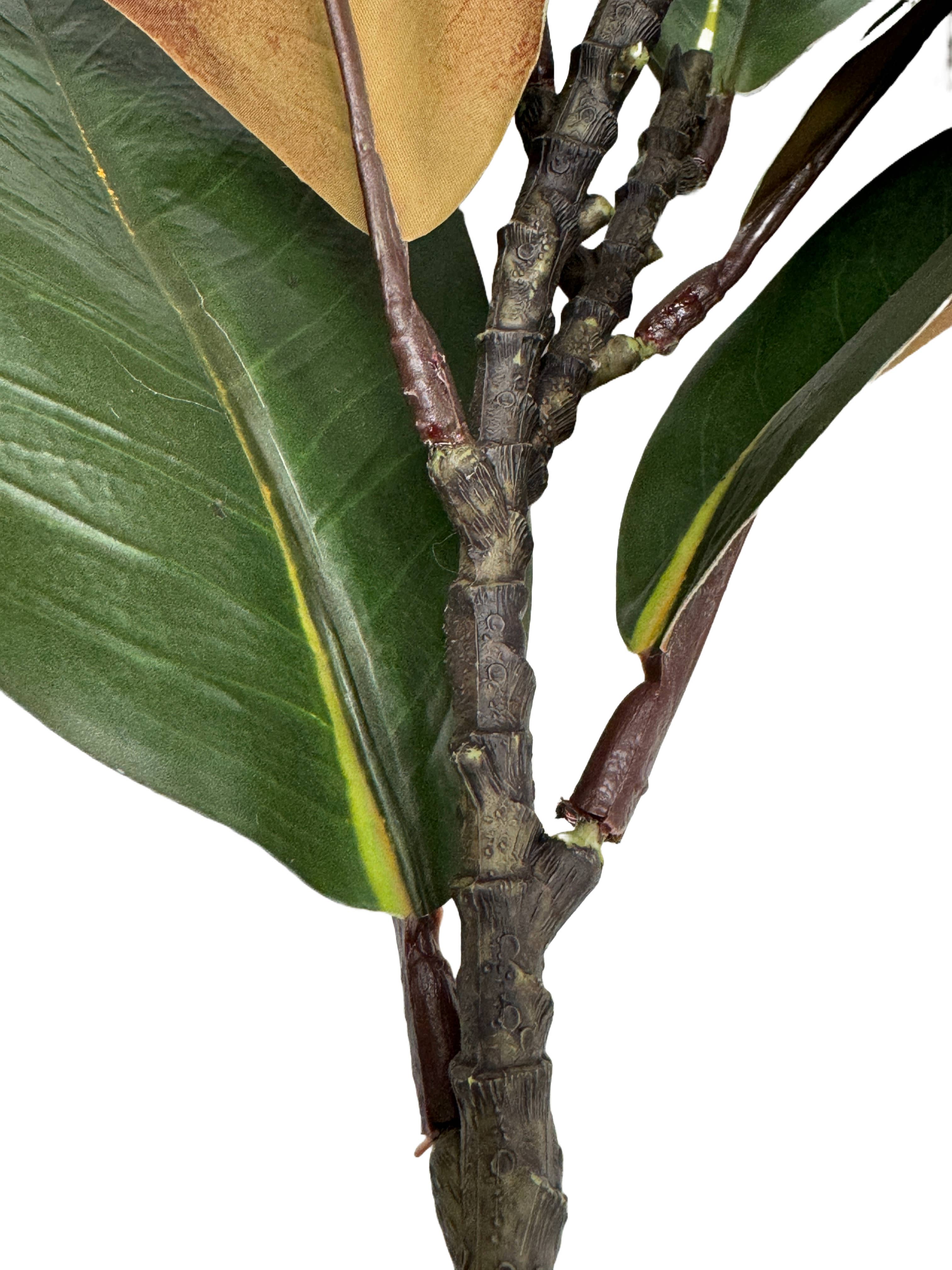 Angel Isabella - Vente Fleurs artificielles - Tige de magnolia ultra réaliste Real Touch de 22" - 10 feuilles7