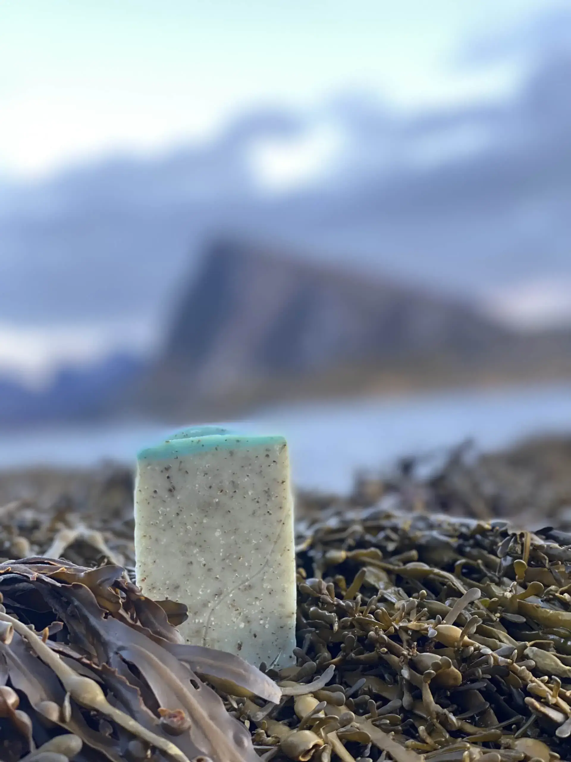 Lofoten Seaweed - Wholesale Bar Soap - Seaweed Soap2