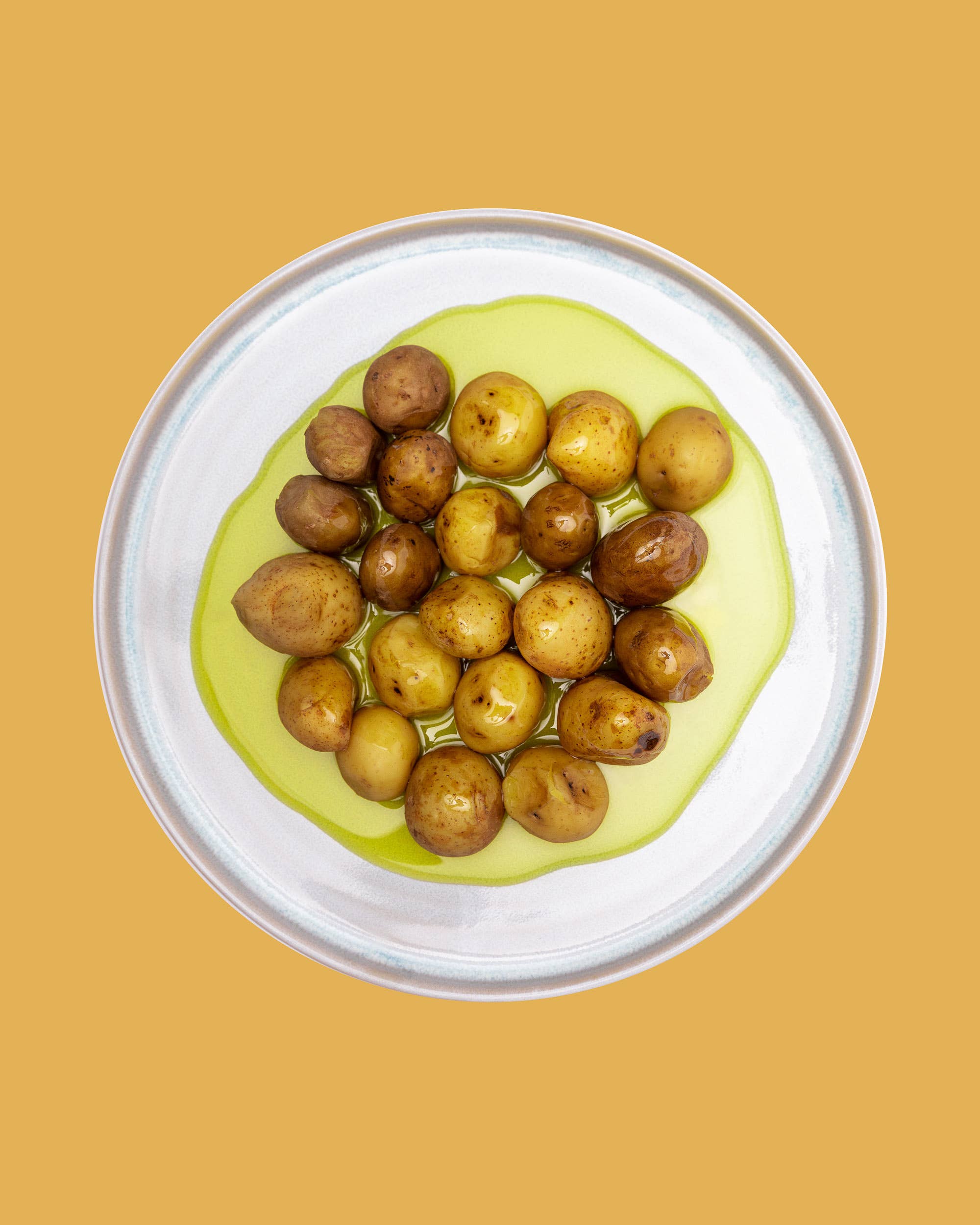 O.E.L. - Thalassa GmbH & Co. KG – Engroshandel Olivenolie – Økologisk ekstra jomfru olivenolie fra Grækenland, 5.000 ml3