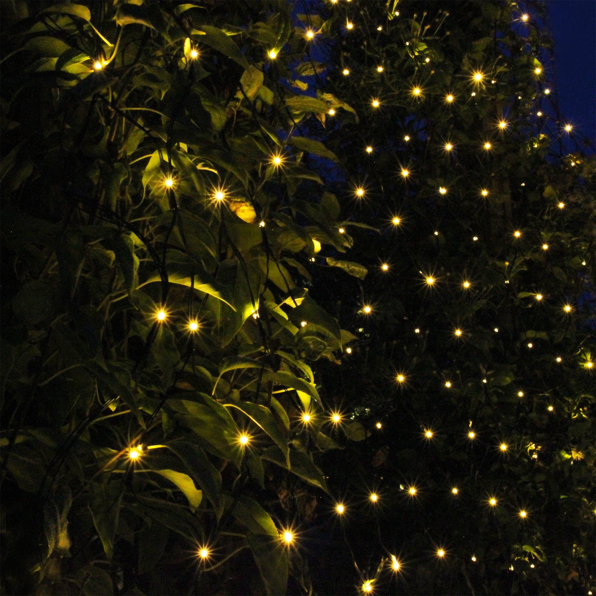 LightsOn - Wholesale Outdoor/Lawn Light - Net2