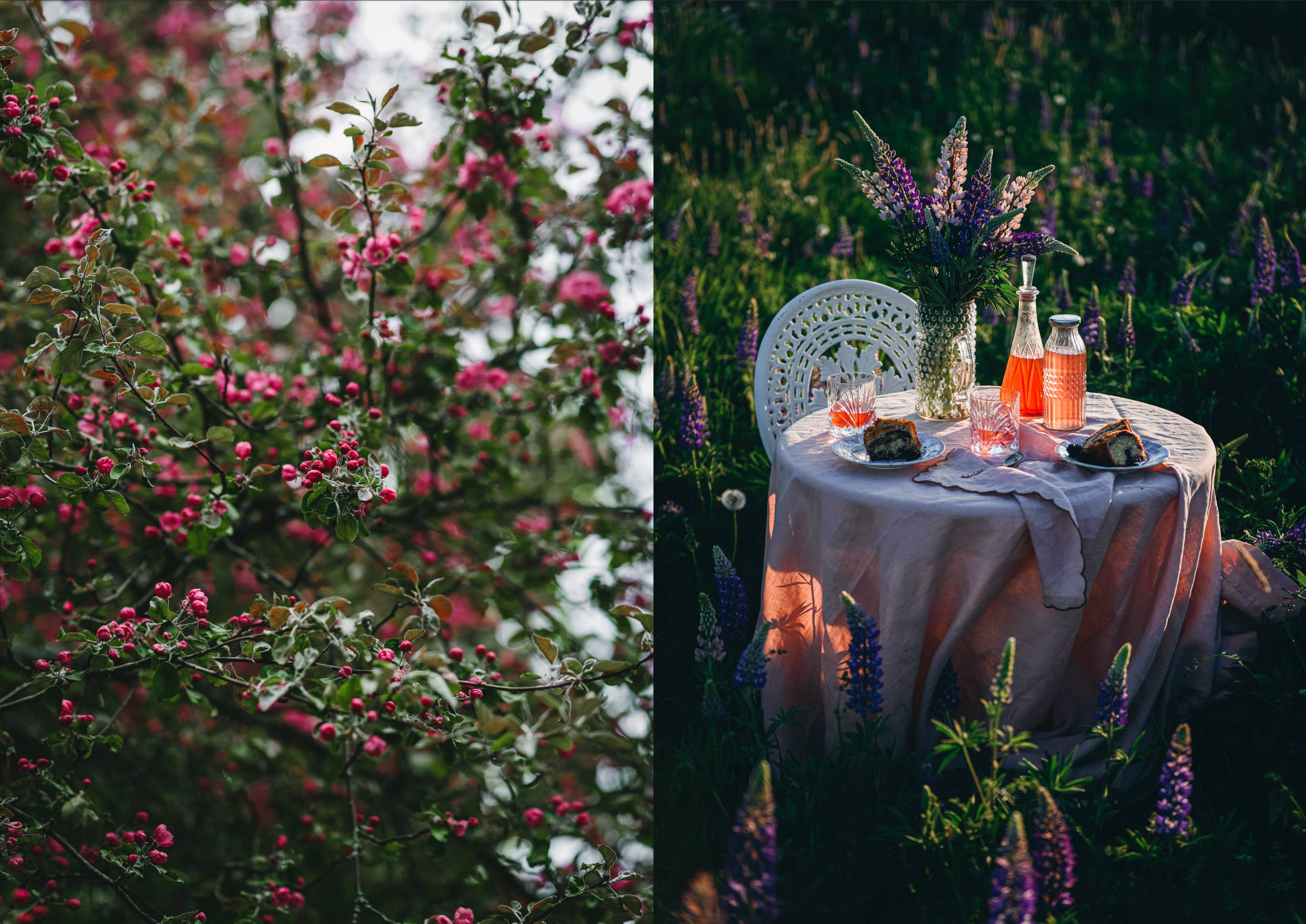 Cozy Publishing – Großhandel Kochbücher & Essen – Nordisches Sommerkochbuch4