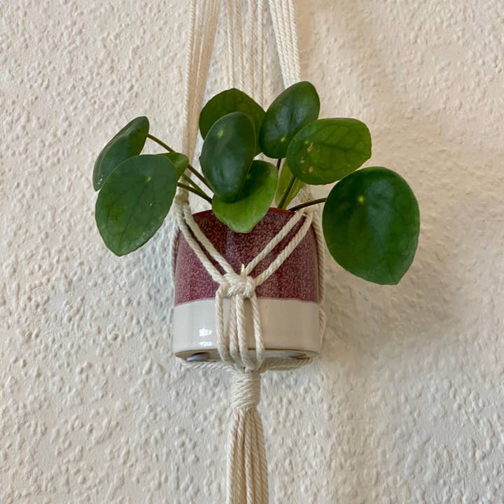 Luna Crafts - Vendita all'ingrosso Fioriere a sospensione - Appendiabiti da parete in macramè - seashell bianco