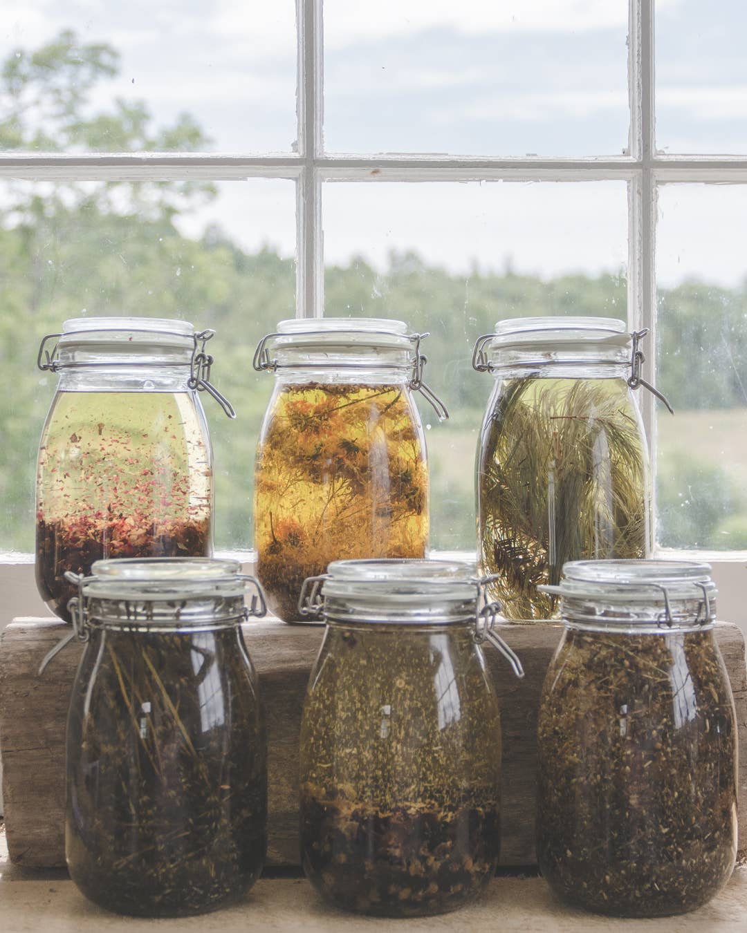 Wildwood Creek - Wholesale Bath/Body Oil - Wildflower Nourishing Natural Body + Bath Oil |Vegan Organic4