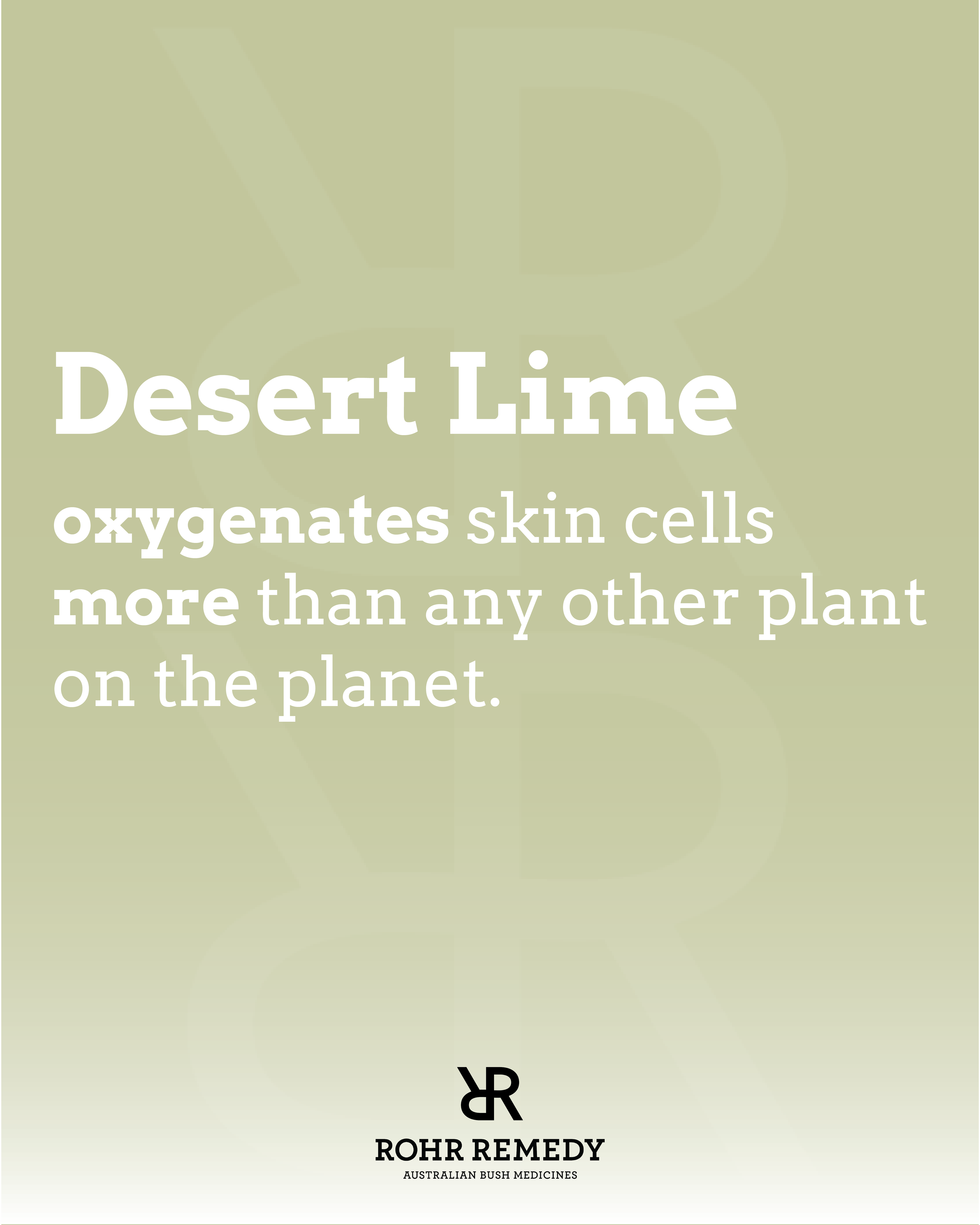 Rohr Remedy - Wholesale Body Cream/Lotion - Desert Lime Body Moisturiser5