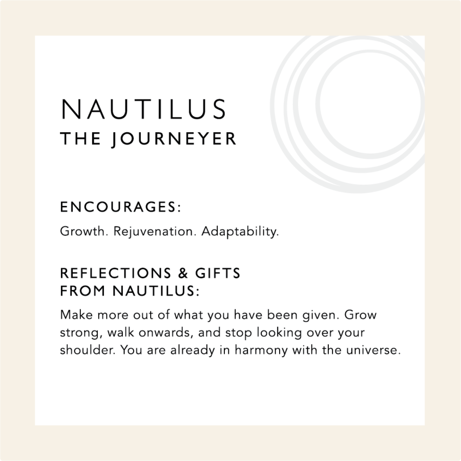 Nautilus Shell Pendant Necklace - Oxidized Sterling Silver for wholesale on Faire1