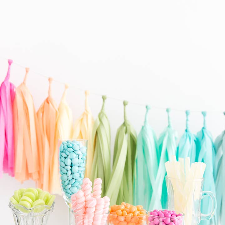 The Flair Exchange - Wholesale Bunting/Garland - Rainbow Tassel Garland Kit