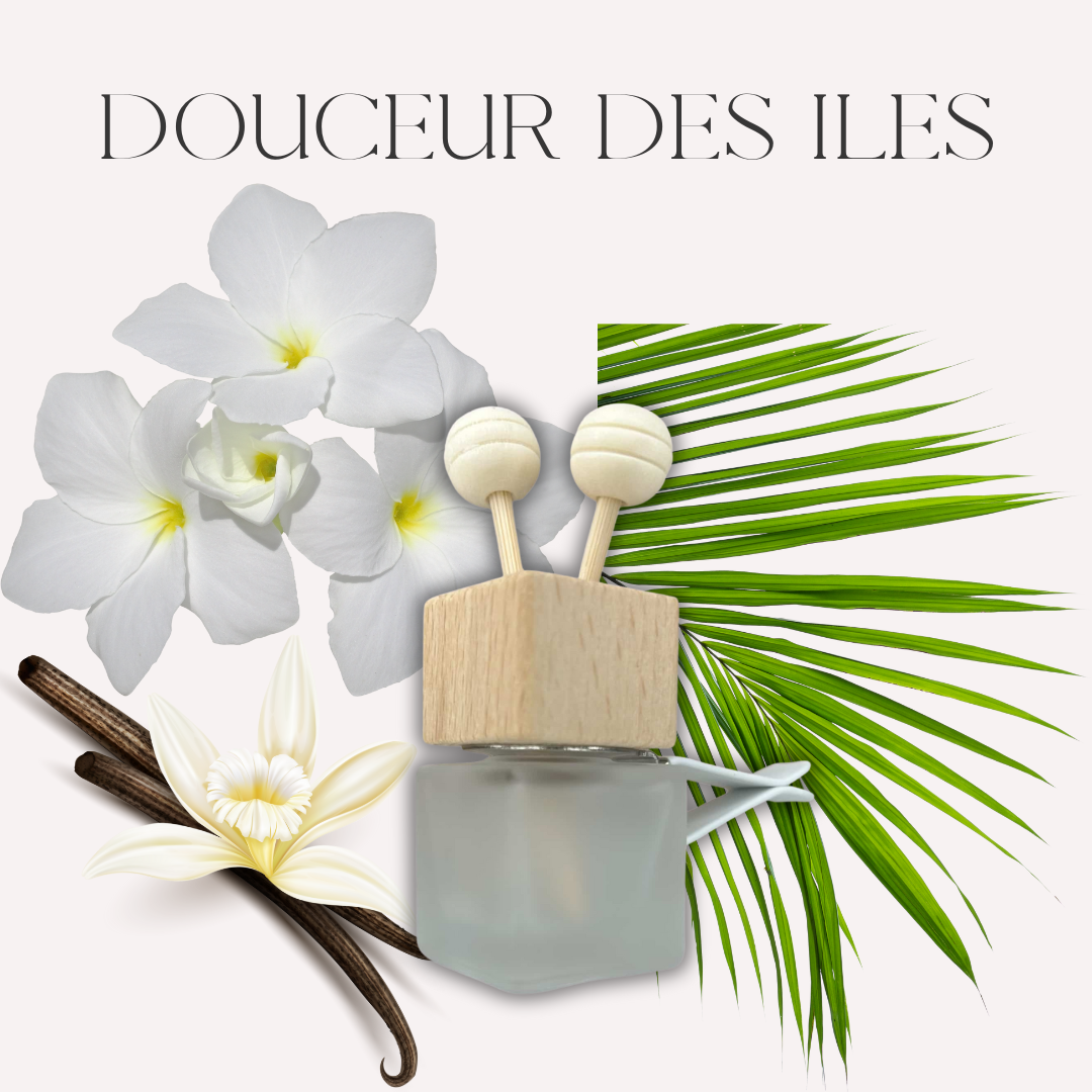 Scarly Shop - Vente Désodorisant pour voiture – unisexe - Diffuseur voiture - Monoi - Douceur des iles0