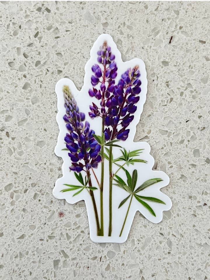 Autocollant lupin pour la vente par KTapDesigns