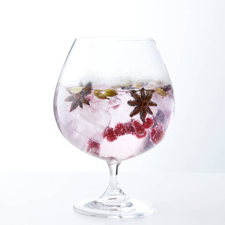 Secco Drink Infusion - Wholesale Cocktail Mix/Syrup - Spiced Pomegranate7