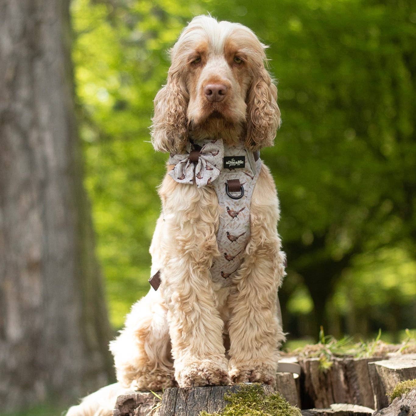 The aDoraBle Pooch Company - Wholesale Tuig voor huisdieren - Hond - Hike & Go™ Harnas - Farmland Fazant18