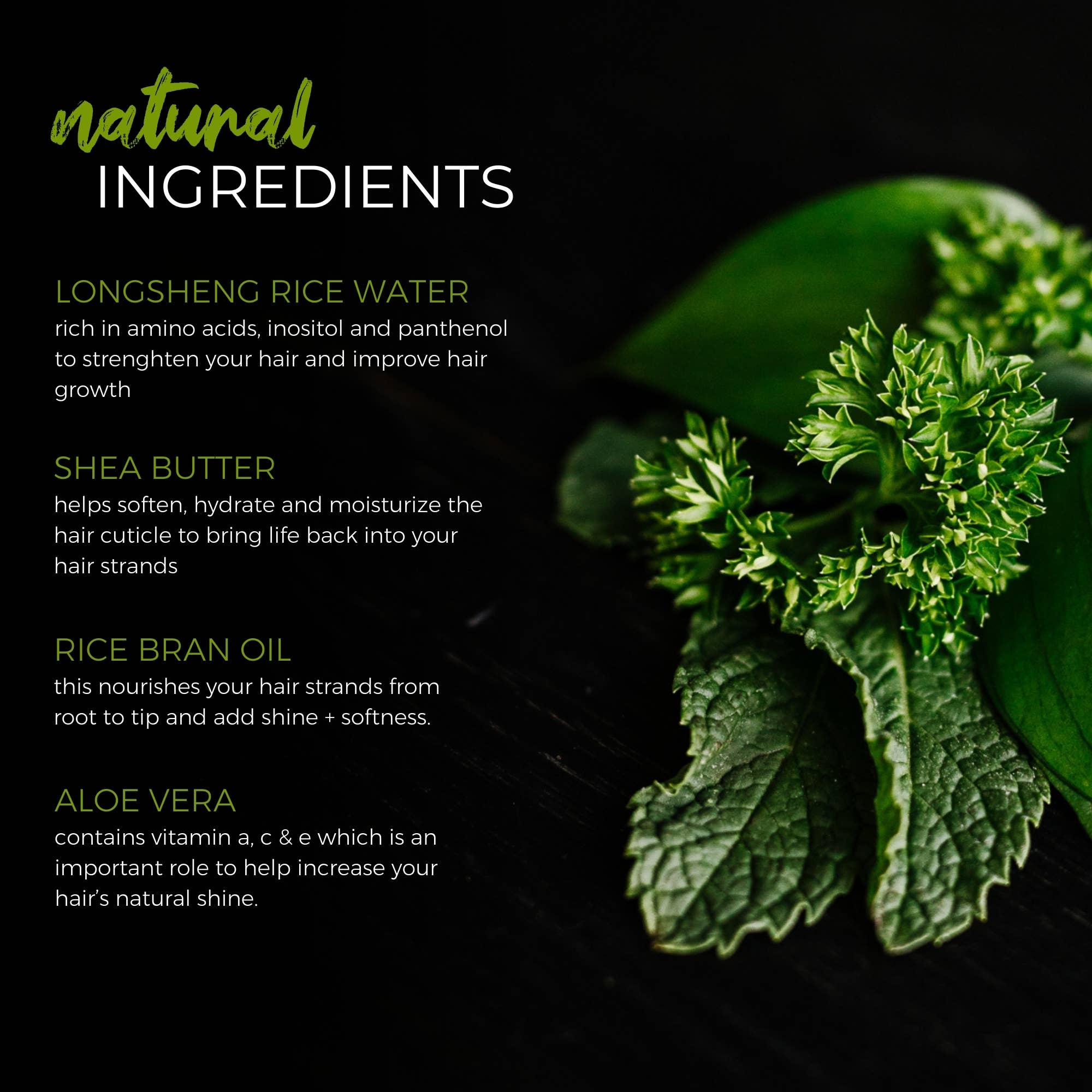 Viori Beauty - Wholesale Shampoo Puck/Solid Shampoo - Rice Water Shampoo Bar | Tea Tree Mint EO | All Hair2