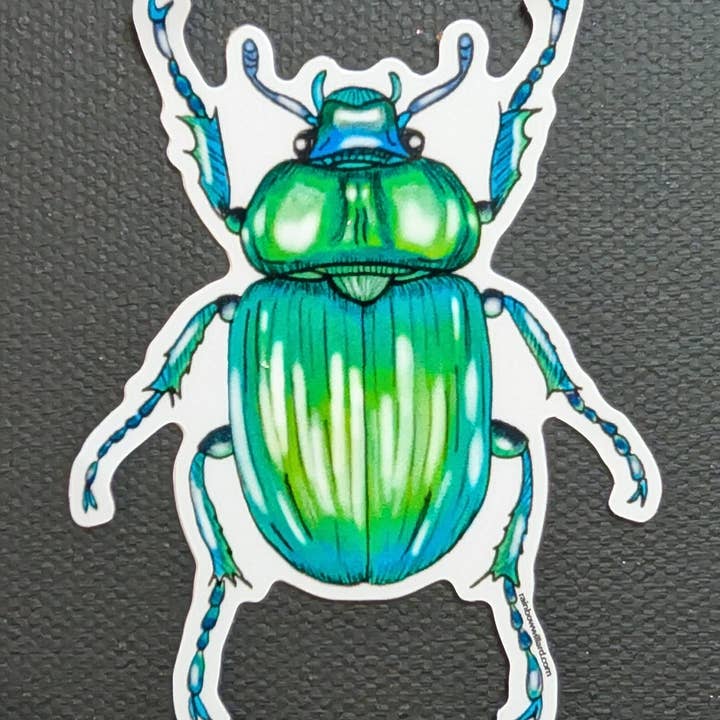 Beetle Vinyl Sticker for wholesale by Rainbow Willard Studio