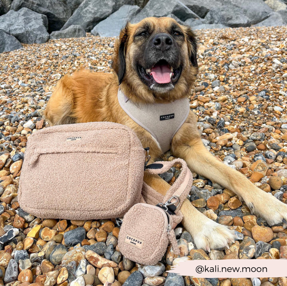 Cocopup London - Vente Sac à friandises – chien - Pochette à friandises - Teddy Rupert2