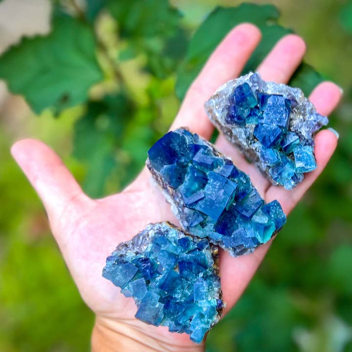 Mandala Gems - Venta al por mayor Piedras/cristales espirituales - Cúmulos de fluorita Hidden Forest Pocket, mina Diana Maria, Da