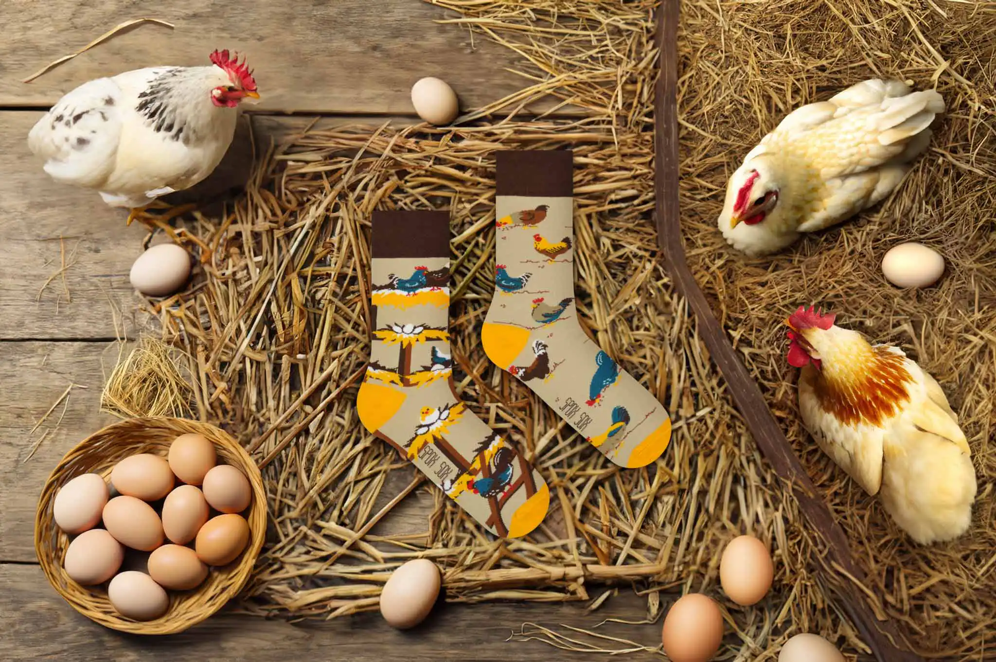 Spox Sox - Wholesale Socks - Unisex - Chicken socks | Socks with hens and eggs - casual socks2