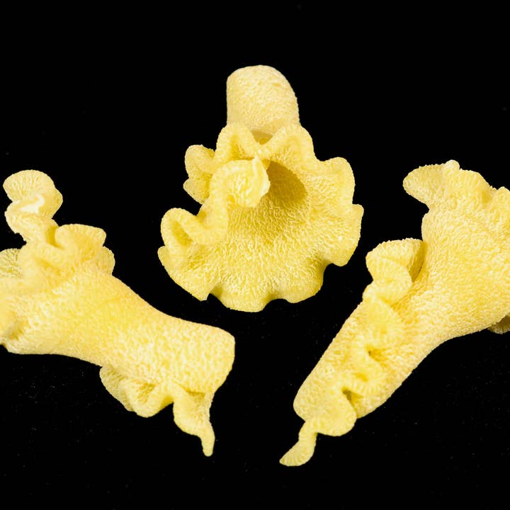 Campanelle Pasta for wholesale by West Michigan Pasta & Provisions