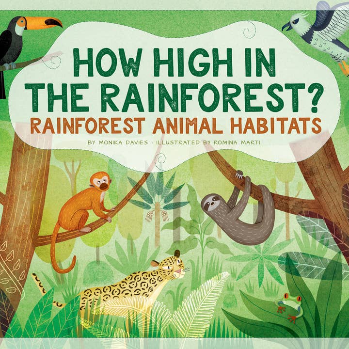 Amicus Publishing - Venta al por mayor Libro - Niños - ¿Qué altura hay en la selva tropical? : Hábitats animales de la selva tropical
