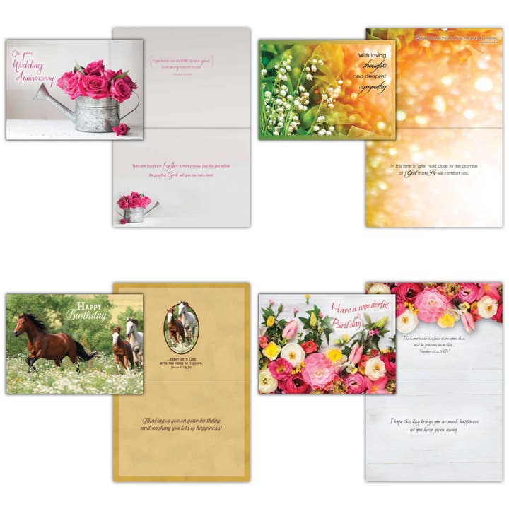 Crown Point Graphics - Vente Carte de vœux classique - Assortiment de 2 cartes de vœux toutes occasions, en boîte7