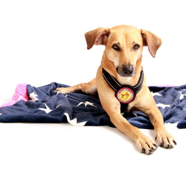 Adesivo - Riparalo! - Buon Natale, 8cm per la vendita all'ingrosso da parte di StyleSnout