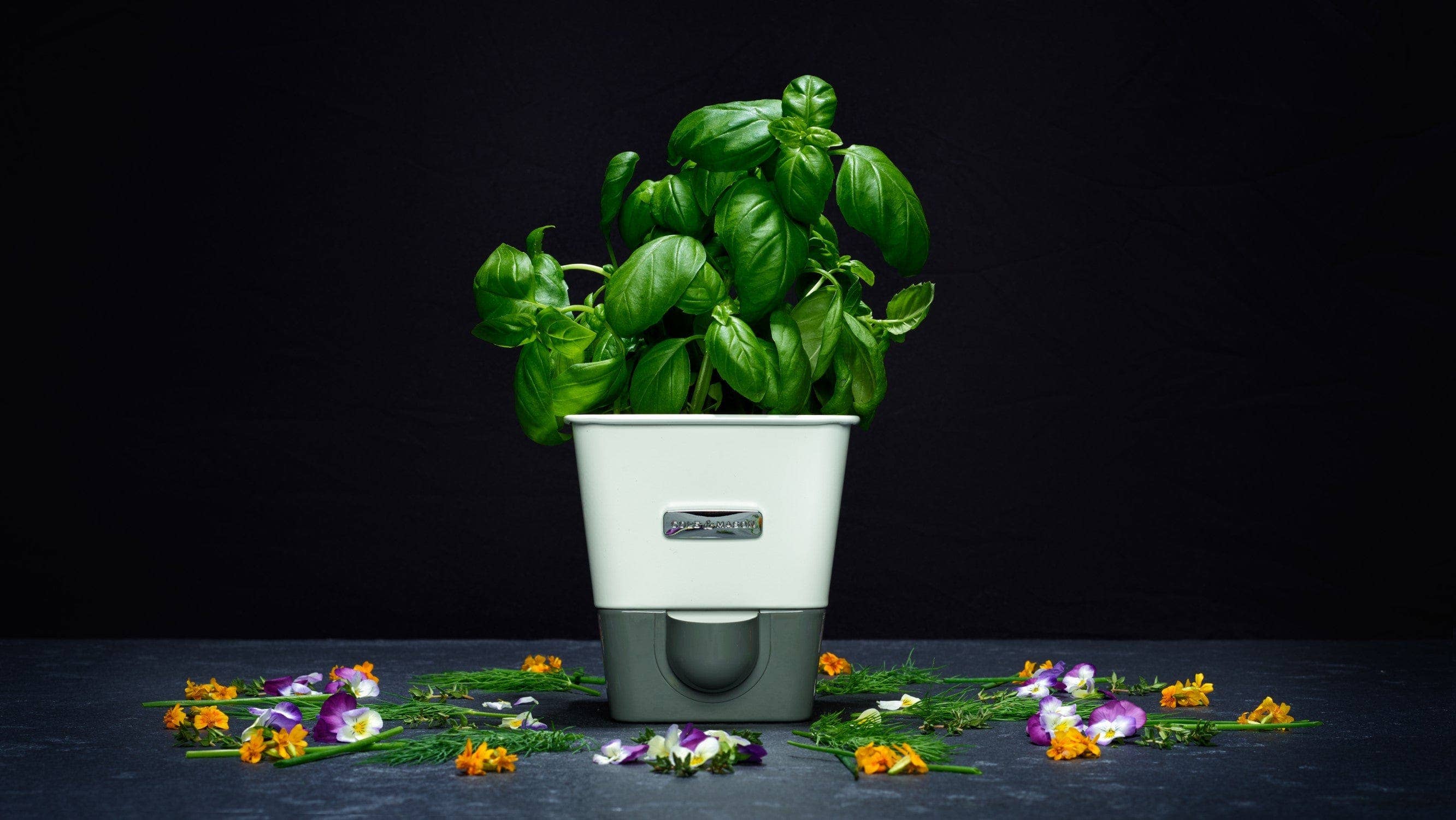DKHB [Zyliss, Cole & Mason, Swissmar, AdHoc, Ken Hom] - Wholesale Plant Pot - Cole & Mason Self-Watering Potted Herb Keeper1