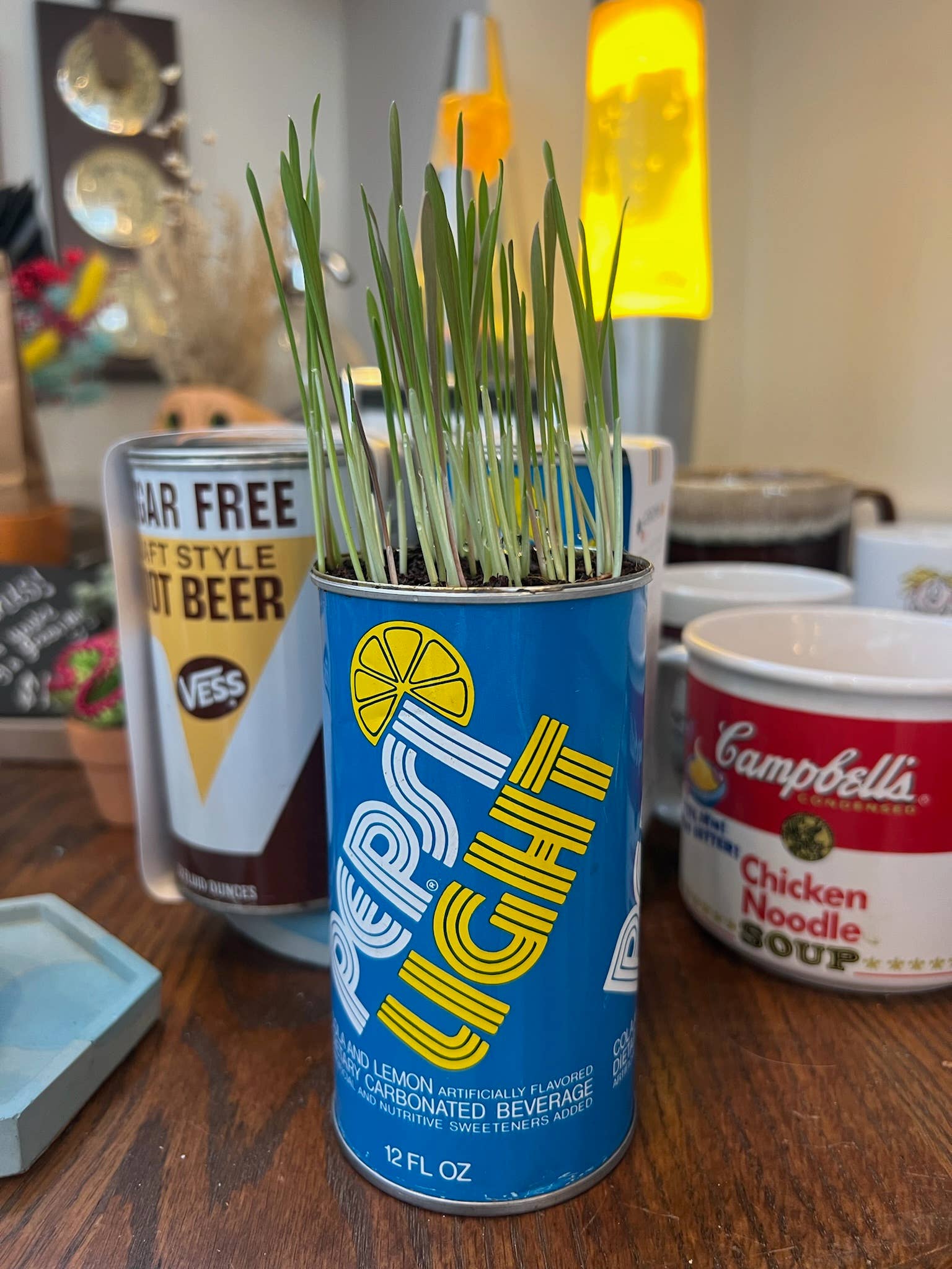 The Mustache Cat Made – wholesale Pet treats – Cat – Cat Grass -In- A Vintage Soda Can8