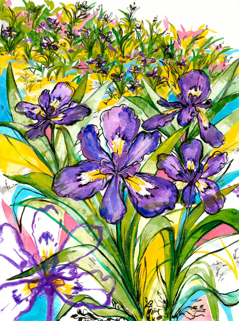 Rebekah Evans Art – wholesale Konsttryck – Skriv ut - "Dvärgkammade irisar"1